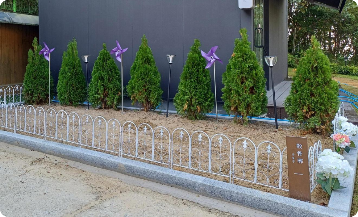 산골장 2