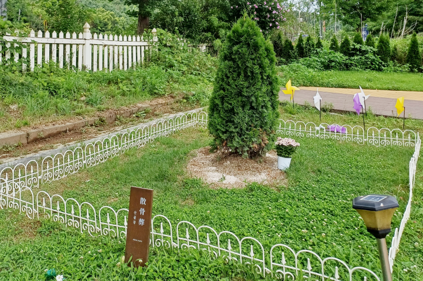 산골장