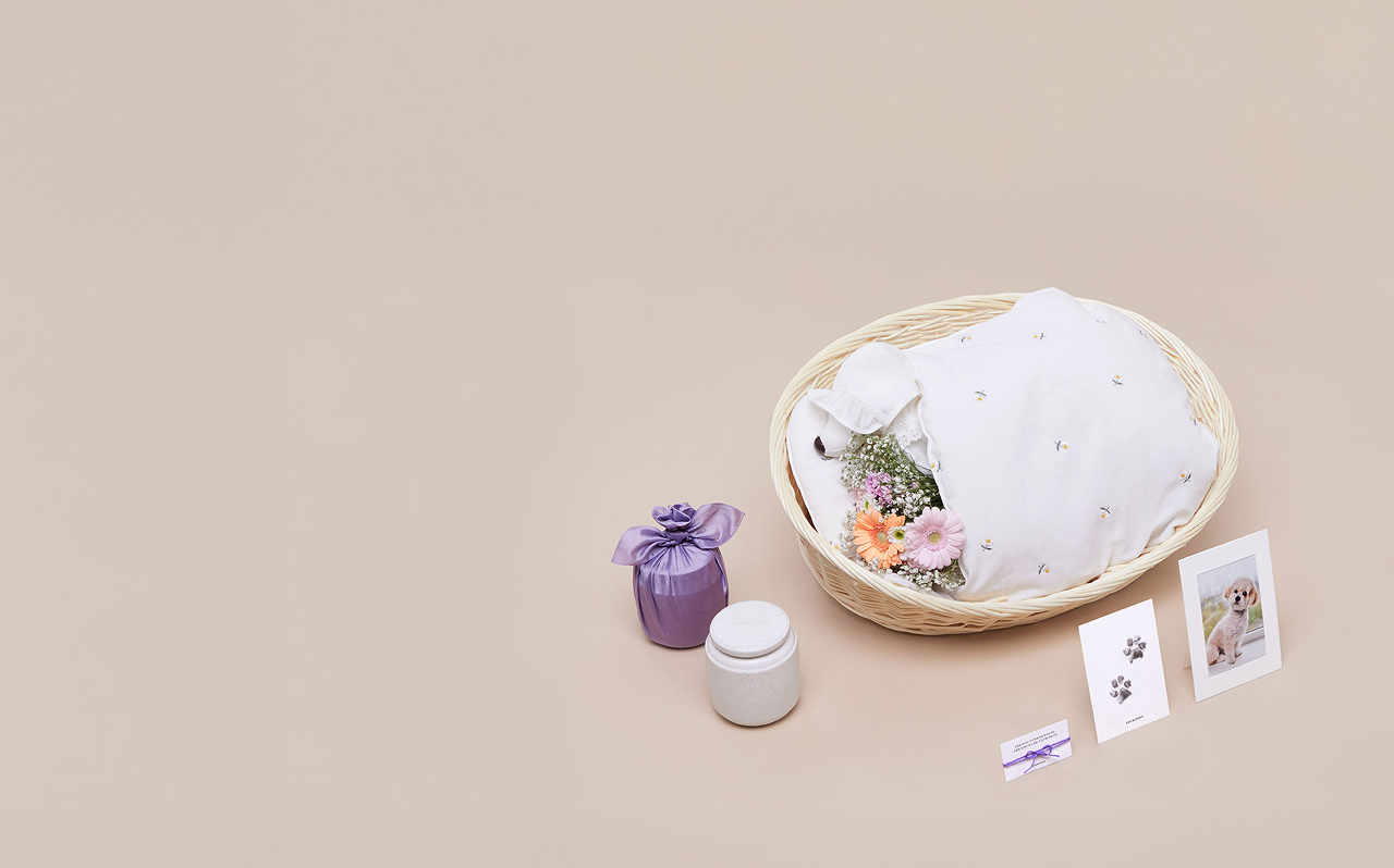 장례비용