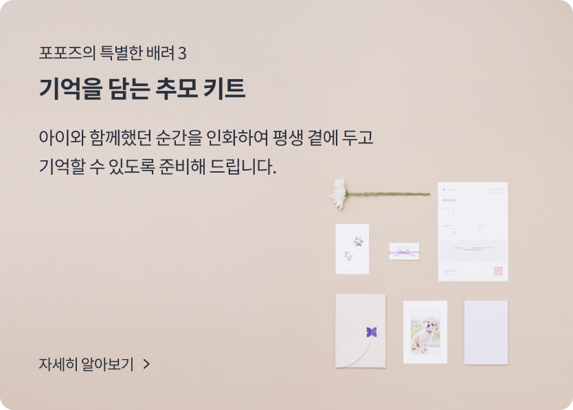 슬라이드3