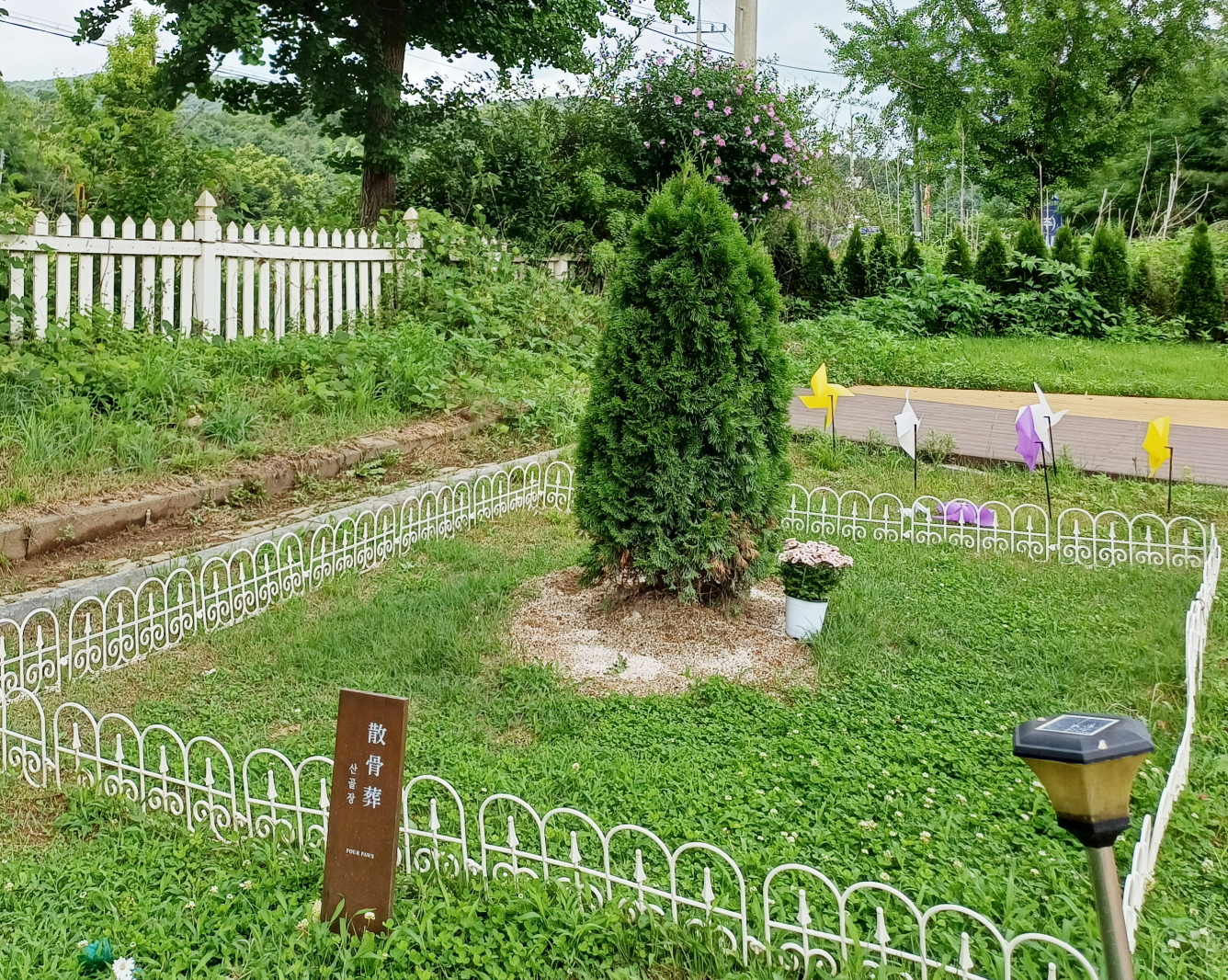 산골장